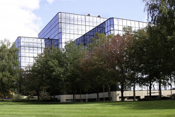 Commercial Tree Trimming in South Jordan