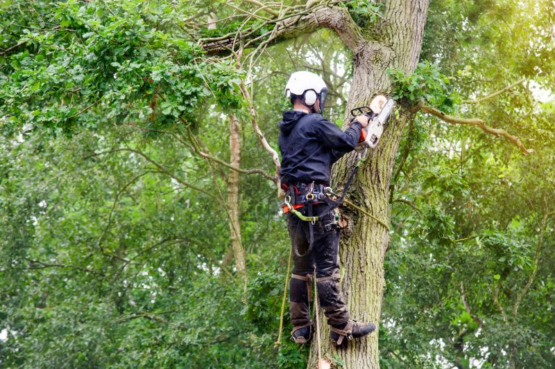 Tree Care Consultants